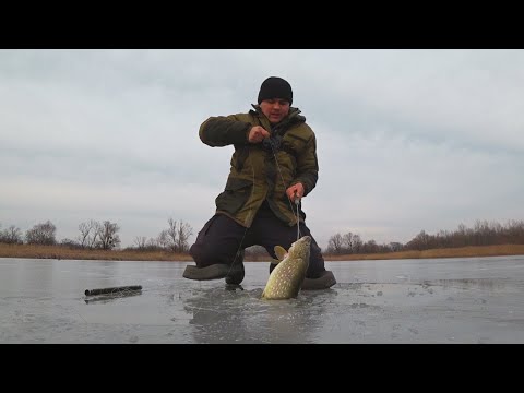 ЩУКИ НЕ ЛІЗУТЬ В ЛУНКУ! ЛОВЛЯ на ЖЕРЛИЦІ! ОКУНЬ і ПЛОТВА на БЕЗМОТИЛКИ І БЛЕШНІ! ЗИМОВА РИБАЛКА 2025