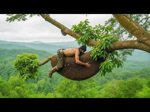 Alone on a Towering Jungle Tree — A High-Risk Wild Honey Hunt
