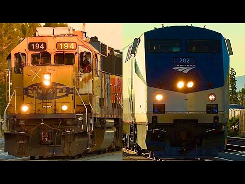 Amtrak Metrolink BNSF Trains - LA & Orange County, CA (Spring 2024)