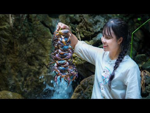 Free Meal... Catching Mountain Crabs Alone In The Deep Forest | Linh - Vietnam