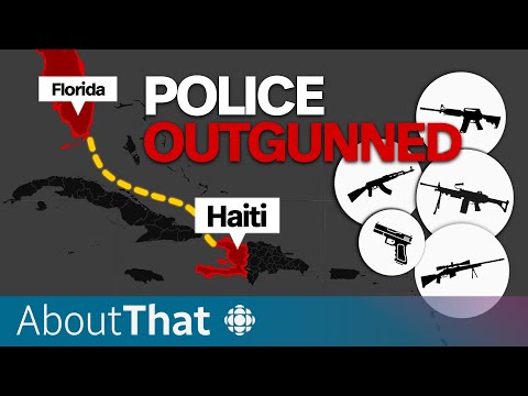 Snapshot: The 'failed' state of Haiti in 2024 | About That