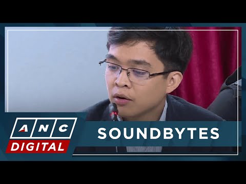 Leviste: Secure 20 encoders of ex-DPWH Usec. Cabral's 'insertion proponents' list | ANC