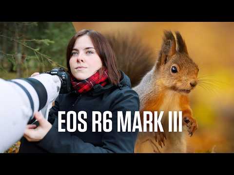 Testing the Canon R6 Mark III in Northern Sweden