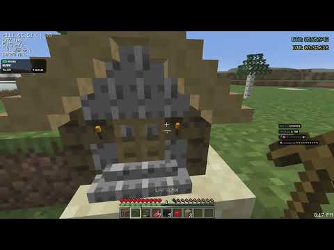 2025.12.19 / 10분의 1로 작아진 세상에서 엔더드래곤 잡기