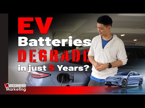 EV Batteries Degrade in Just 5 Years? | Learns Car Series