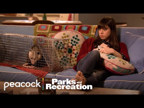 Every time the Animals stole the show | Parks and Recreation