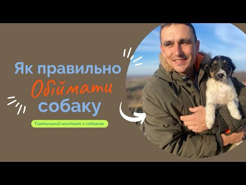 Як можна трогати собаку, а як робити не треба.