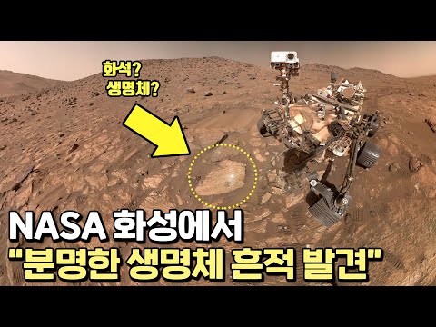 NASA, 화성에서 생명체 흔적 발견했다.