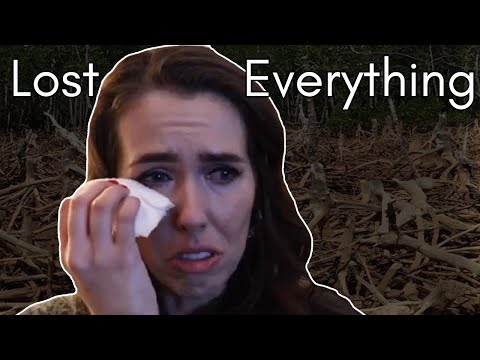 Brittani Taylor: The Youtuber Who Was Scammed Out of Her Life