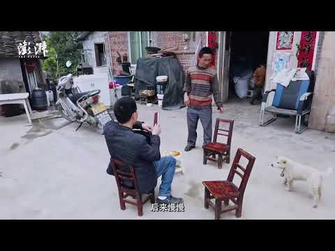 正在放映｜“背母上大学”的他，又回到了大山