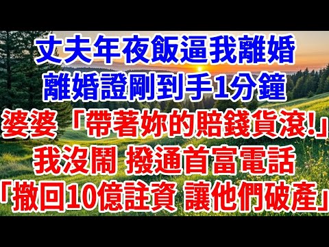 丈夫年夜飯逼我離婚，離婚證剛到手1分鐘，婆婆「帶著妳的賠錢貨滾！」我沒鬧 撥通首富電話「爸 10億註資全部撤回，讓他們破產！」#詩涵講故事#為人處世#生活經驗#情感故事#晚年哲理#說故事#原創故事