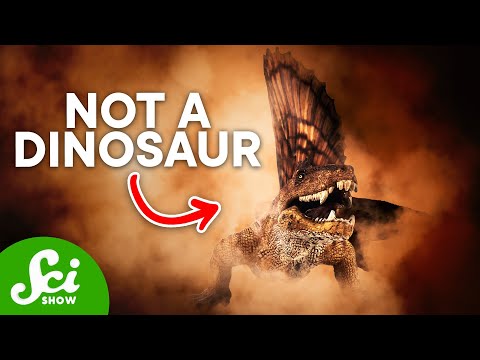 5 Famous Dinosaurs That Aren't Actually Dinosaurs