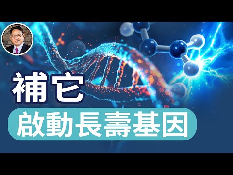 The Secrets of NAD⁺, Methylation, and Energy