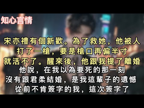 宋亦禮有個新歡。為了救她，他被人打了一槍，要是槍口再偏半寸，就活不了。醒來後，他跟我提了離婚。他說，「在我以為要死的那一刻，沒有跟君柔結婚，是我這輩子的遺憾。」#小說 #一口氣看完 #追妻 