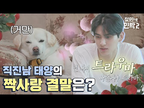 S2 Ep7. 햇살 유태양의 짝사랑법🥰 본격 강아지 육아예능