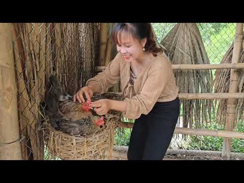 Daily life of a girl named Binh in rural Vietnam. Peaceful life