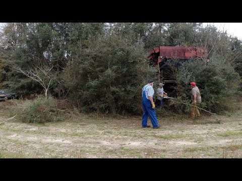 Will It Start? CASE IH 2055 Cotton Picker Sitting for Years