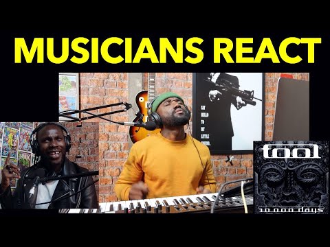 FIRST REACTION TO TOOL - The Pot