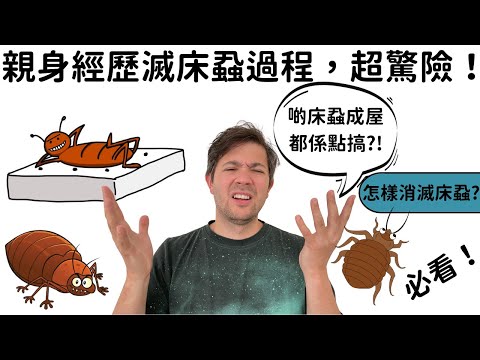 朋友分享從發現床蝨至消滅過程。看完你會知道怎樣消滅床蝨。必看！