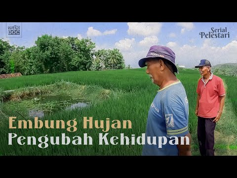 EMBUNG HUJAN PENGUBAH KEHIDUPAN | PELESTARI