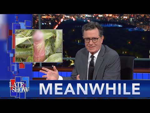 Meanwhile... Endangered Penis Plant Is NSFW | Kid Goes Viral For Tee-Ball Dance