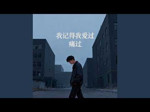 我记得我爱过 痛过