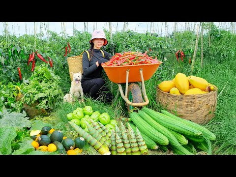 Harvest, Sell, Cook: Chili Peppers, Papaya, Pumpkin , Bamboo Shoots – Care For Livestock And Plants