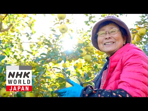 Shoko's Core Values - Through the Kitchen Window