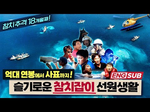 억대 연봉에서 사표까지... 18개월 동안 펼쳐지는 참치 추격전!! 참치 잡는 상남자 23명의 슬기로운 선상 생활 [참치전쟁 외전40 부산MBC]