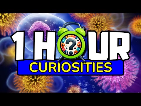 30 minutes NON-STOP Amazing Facts you DIDN'T Know #6