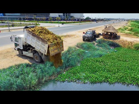 Wonderful Started New Project! DumpTruck Filling Soil Deep lake, Expert tech Dozer D31A Pushing Soil