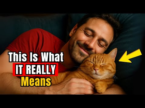 What it really means when your cat sleeps with you – the shocking truth