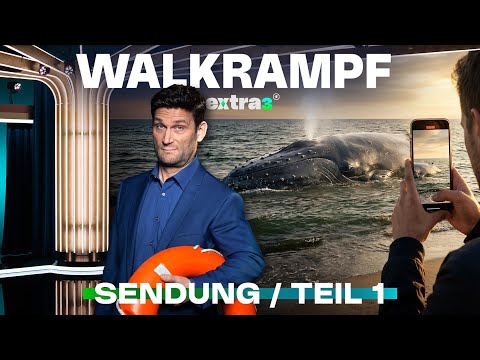 Drama um Ostsee-Wal Timmy | Mehrheit für AfD? | extra 3 vom 23.04.2026 · Teil 1/2