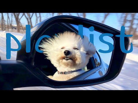 [𝐏𝐥𝐚𝐲𝐥𝐢𝐬𝐭] 겨울엔 드라이브가 답이다!🚘| 운전할 때 무조건 듣는 플레이리스트🚗💨 | 차 안타도 그냥 틀어두세요🎵