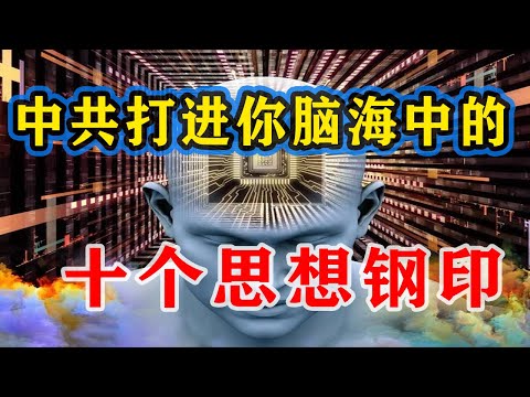 【枫说】洗脑程度测试01：盘点中共打进人们脑海中的十个思想钢印。连马斯克都中招了
