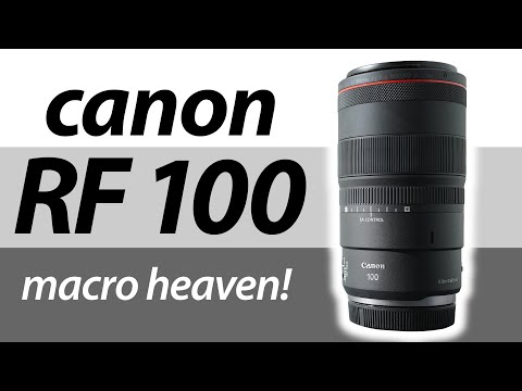 Canon RF 100mm f2.8L Macro REVIEW vs EF 100mm f2.8L Macro