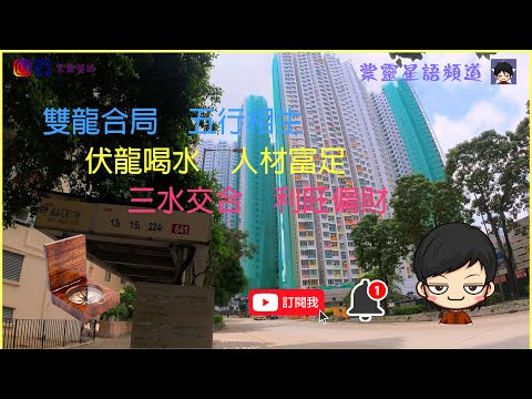 四圍睇風水之綠置居風水睇樓團『2025新綠置居項目 - 九龍灣宏緻苑』三水相交 如何利旺偏財💰⁉️伏龍喝水 又係如何聚旺人丁🐯⁉️