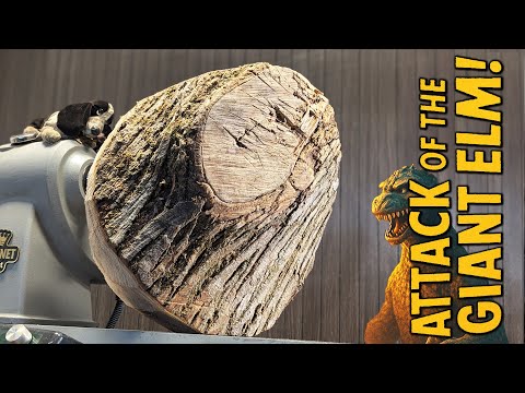 ElmZILLA! Woodturning a MONSTEROUS piece of wood