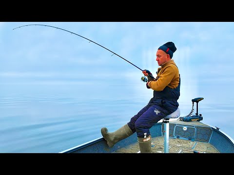 Нарешті ЗНАЙШОВ!!! Судаки Кременчуцького ВОДОСХОВИЩА!!!