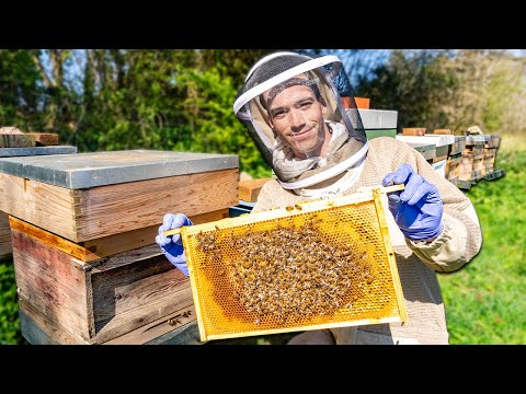 What is Beekeeping? - Preparing for my biggest honey harvest