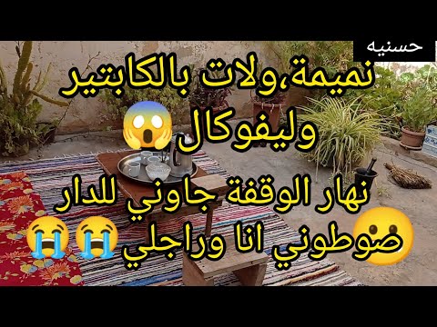 بليفوكال،وليكابتير فضحتني،قدامهم😱صوطوني انا وراجلي 😭 هي وبناتها،الخمسة😬🥵