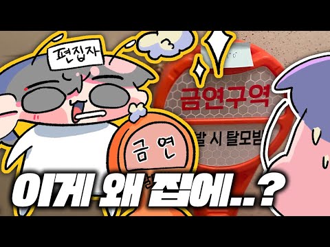 Why is that in the house? | Showing off useless stuff