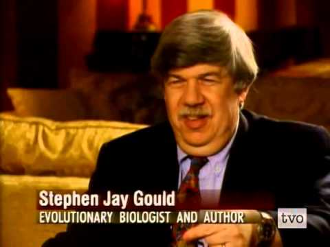 Stephen Jay Gould interview on Evolution