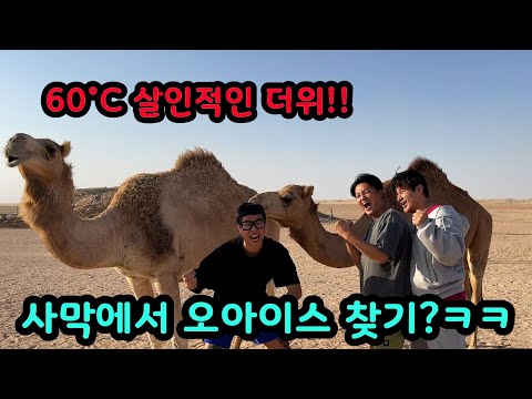 아랍 여행 중 시작된 리얼 야생에서 목숨 걸고 하는 복불복 게임ㅋㅋㅋㅋ 끝까지 달려봅시데이~!