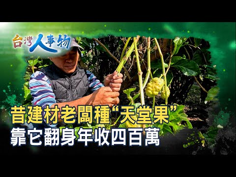 谷底翻身的“天堂果”｜禾津農場｜【台灣人事物】2025.11.01