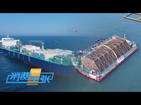 无刺鱼技术、全球首艘“渔业航母”、盐碱地养“海鲜”……世界最大水产品生产国藏着多少水产养殖黑科技？「消费主张」餐桌上的新质生产力 20240314 | 财经风云