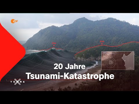 Tödliche Welle überlebt! Tsunami 2004 | Terra X