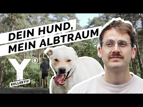 Angst vor Hunden  - und keiner nimmt Dich ernst I Y-Kollektiv