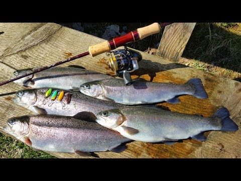 Ловля прудовой форели или "Trout Area"/Как ловить на микро колебалки?/ micro spoons for beginners