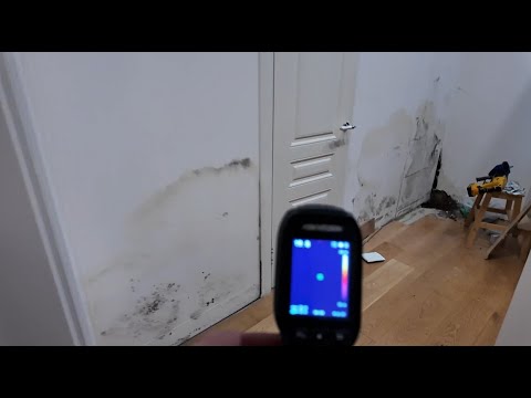 A nearly new house is covered in mold – we're looking for the cause.